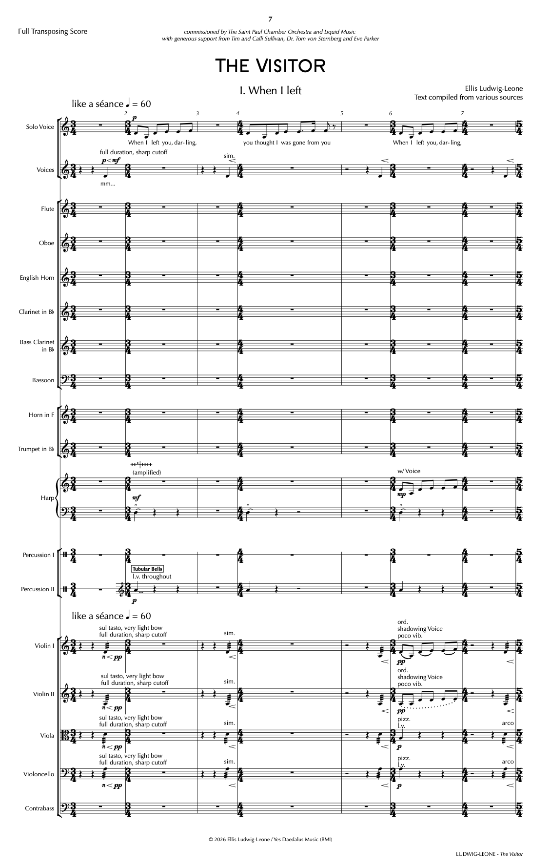 Orchestra and Solo Voice: The Visitor