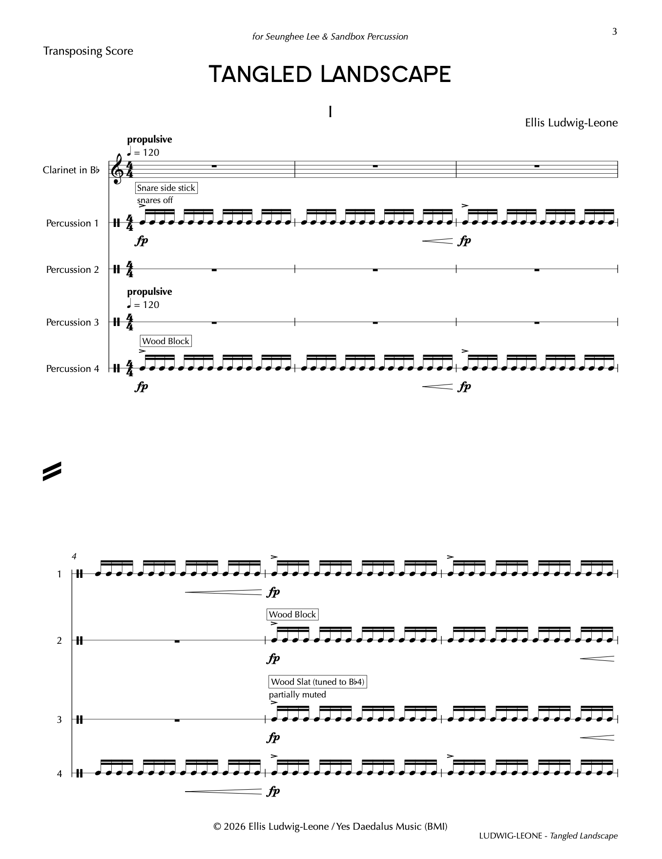 5 players: clarinet and percussion quartet - Tangled Landscape