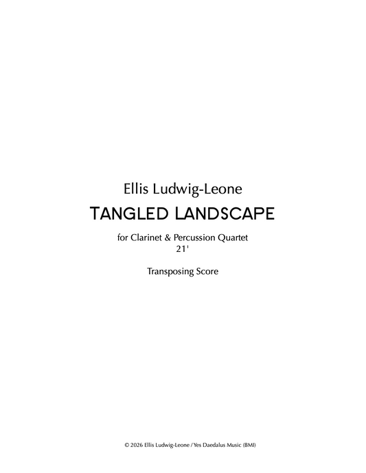 5 players: clarinet and percussion quartet - Tangled Landscape